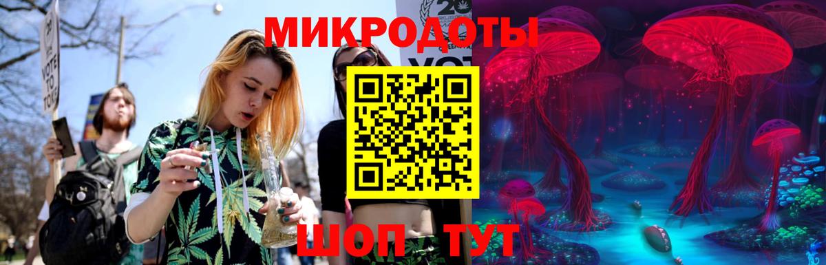 Псилоцибиновые грибы Cubensis Бердск